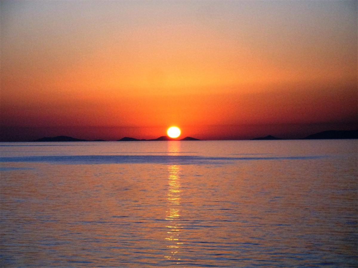 Alba Stupendo Appartamento In Villa Fronte Mare - Golfo Dell'Asinara - Internet Free Валледорія Екстер'єр фото