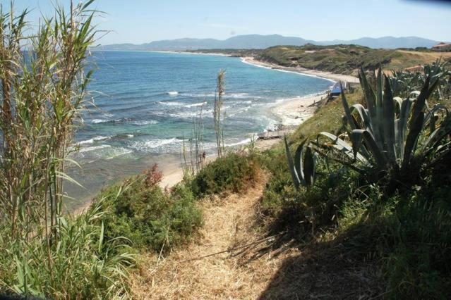 Alba Stupendo Appartamento In Villa Fronte Mare - Golfo Dell'Asinara - Internet Free Валледорія Екстер'єр фото