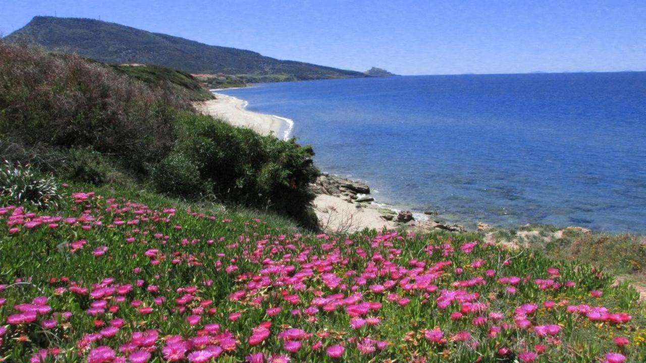 Alba Stupendo Appartamento In Villa Fronte Mare - Golfo Dell'Asinara - Internet Free Валледорія Екстер'єр фото