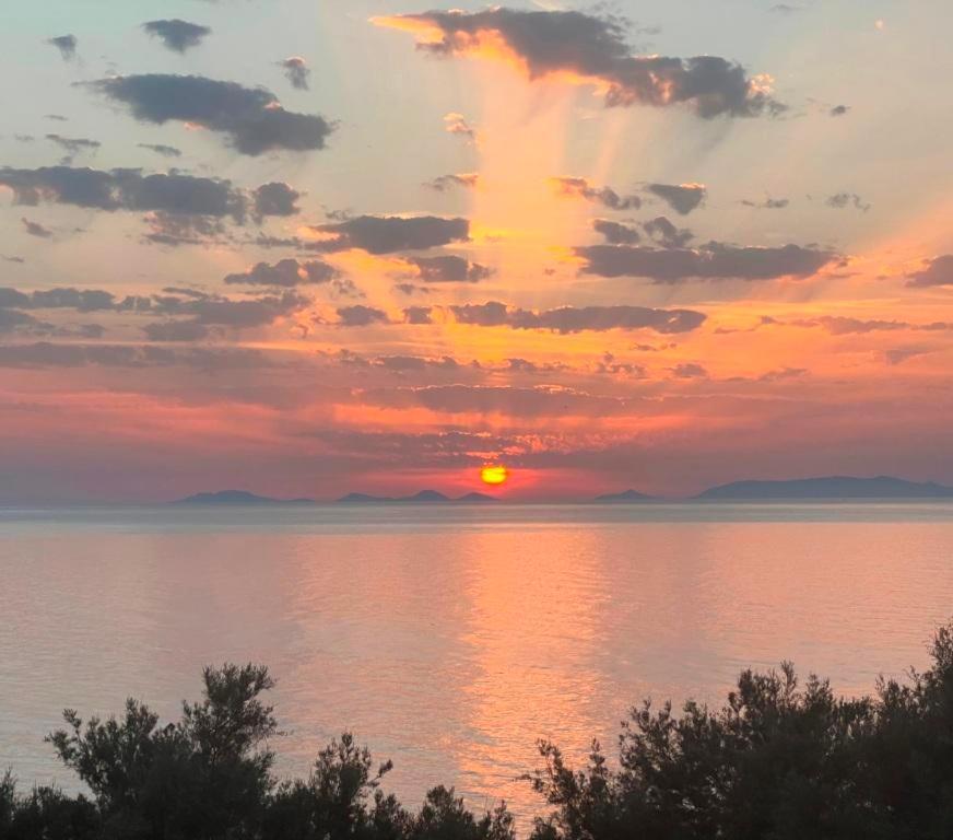 Alba Stupendo Appartamento In Villa Fronte Mare - Golfo Dell'Asinara - Internet Free Валледорія Екстер'єр фото